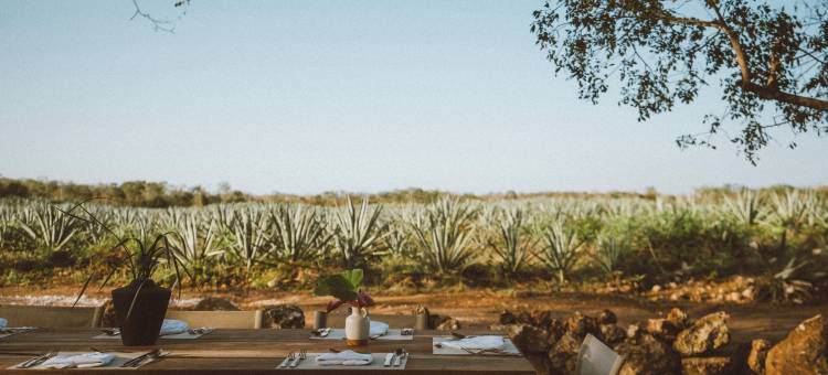 Viatura Hacienda Xtojil, Yucatan, 梅尼达, 可选全包(Viatura Hacienda Xtojil, Yucatan, Merida, with Optional All Inclusive)图片