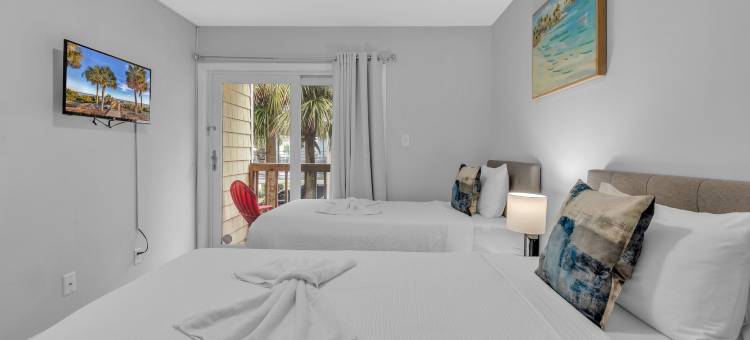 岛屿棕榈(Island palms)图片