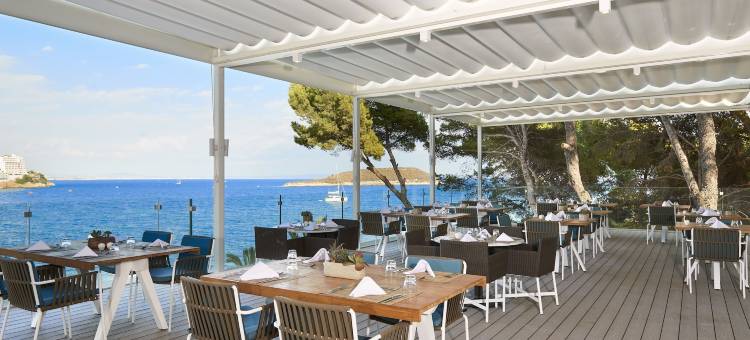 楝卡尔维亚比奇酒店(Meliá Calviá Beach)图片