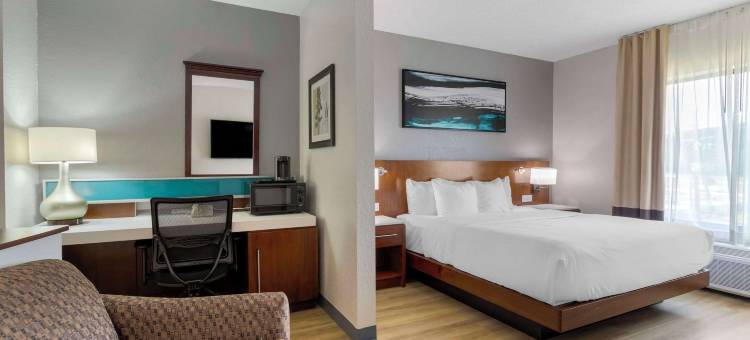 柯达塞维尔舒适套房酒店(Comfort Suites Kodak Sevierville)图片