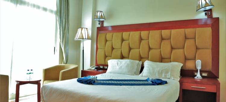 蓝鸟国际酒店(Blue Birds International Hotel)图片