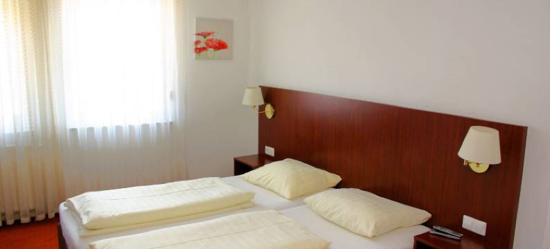 Gasthaus Traube图片