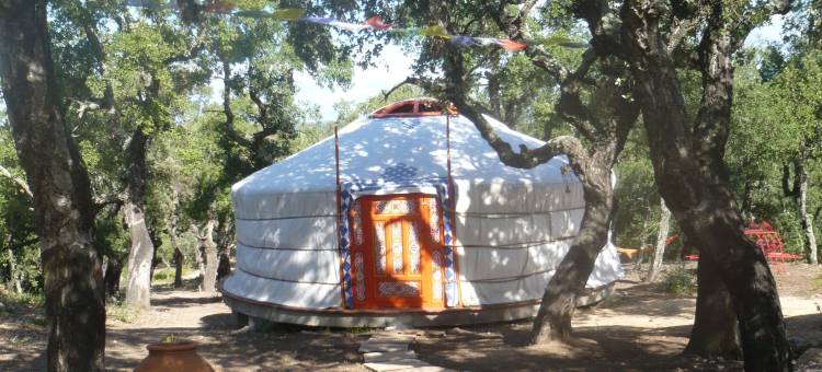 太阳蒙古酒店(Au Soleil Mongol)图片