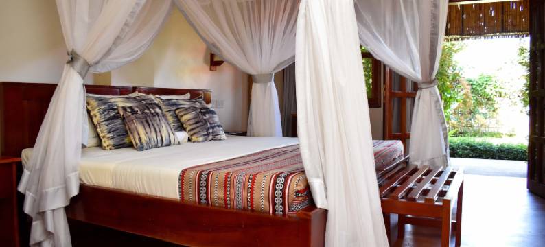 古卢非洲之根酒店(African Roots Gulu)图片