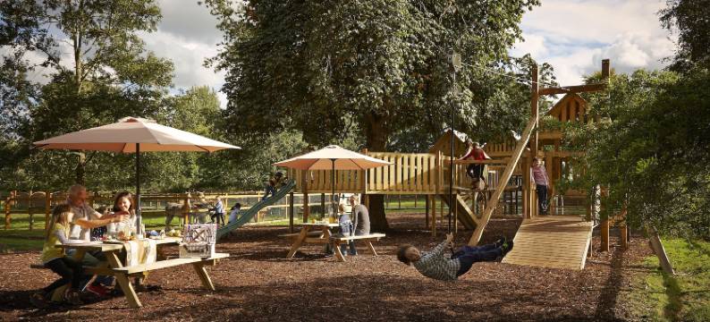 新公园酒店(Newpark Hotel)图片