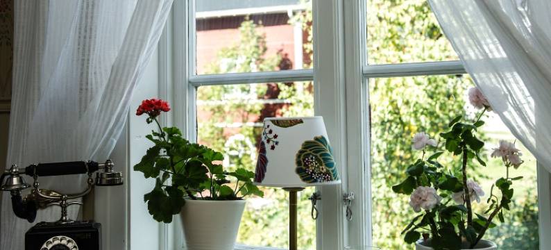 恩纳格尔斯民宿(Enångers Bed and Breakfast)图片