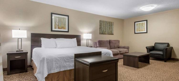 克拉丽奥套房酒店(Clarion Hotel & Suites)图片