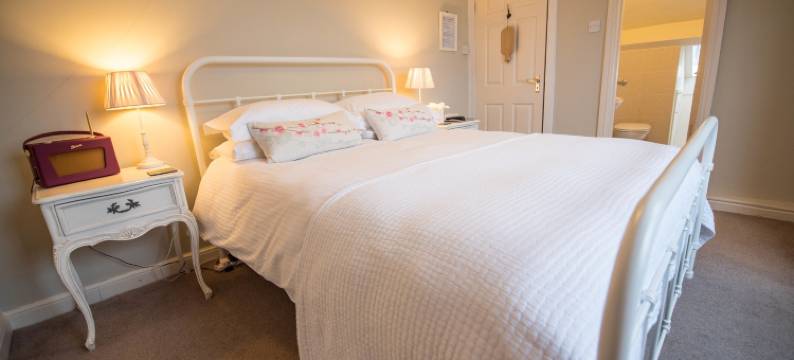 切斯特纳特别墅旅馆(Chestnut Villa)图片