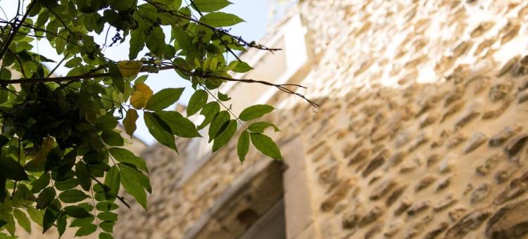 正午酒店(Hotel du Midi)图片