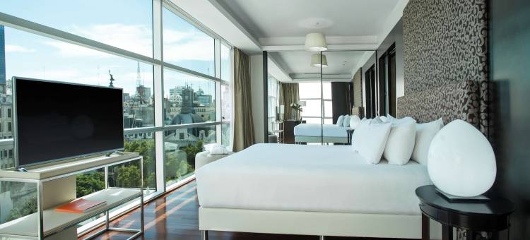 布宜诺斯艾利斯中心历史城区NH典藏酒店(NH Collection Buenos Aires Centro Historico)图片