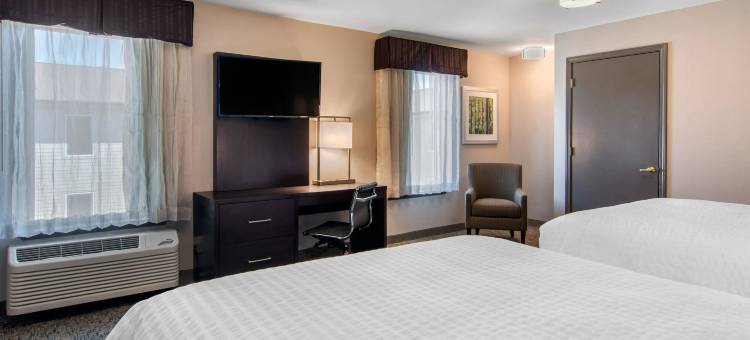亚特兰大市中心凯隆酒店(Clarion Inn & Suites Atlanta Downtown)图片
