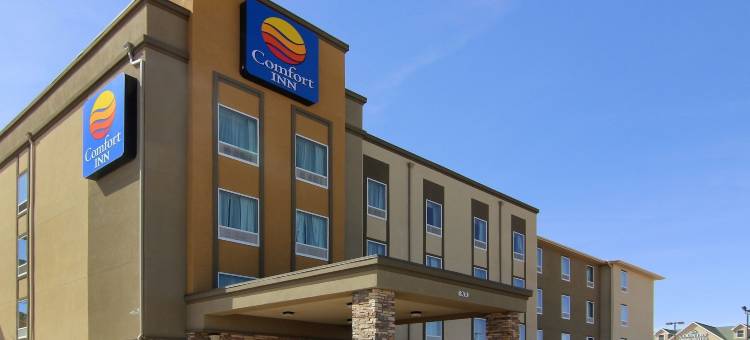 南米德兰I-20舒适酒店(Comfort Inn Midland South I-20)图片