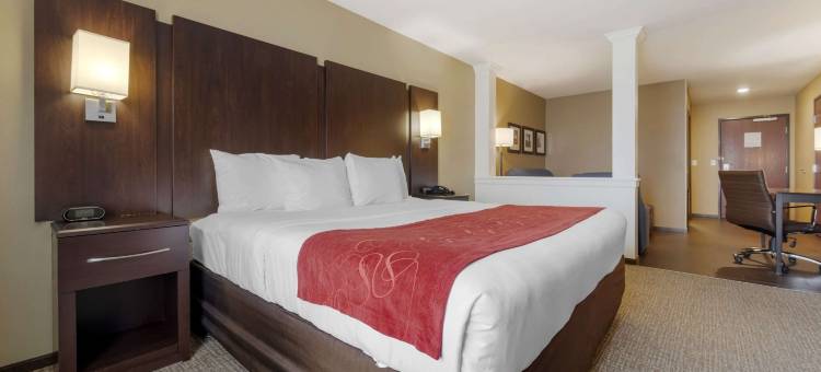 舒适全套房酒店及会议中心(Comfort Suites and Conference Center)图片