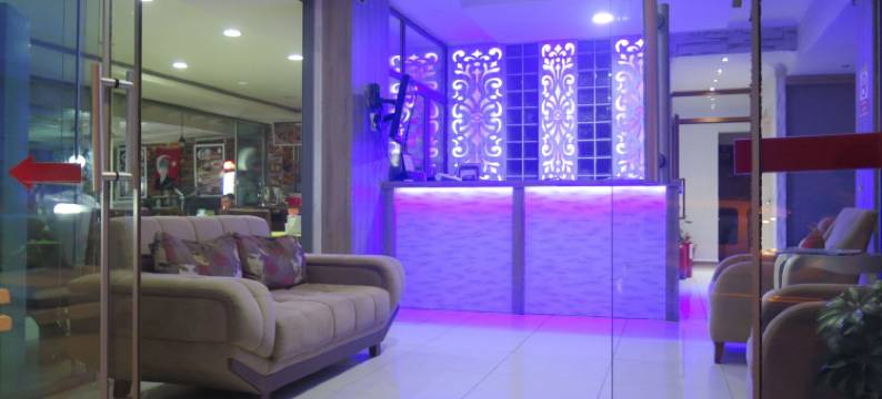 莉迪亚市酒店(Lidya City Hotel)图片