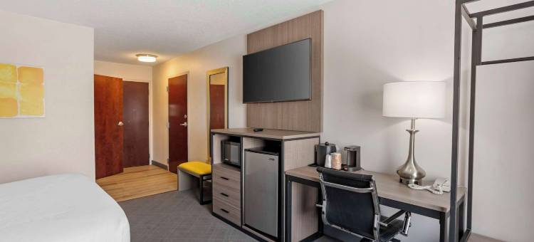 舒适酒店及套房哈里斯堡-赫尔希北(Comfort Inn & Suites Harrisburg-Hershey North)图片