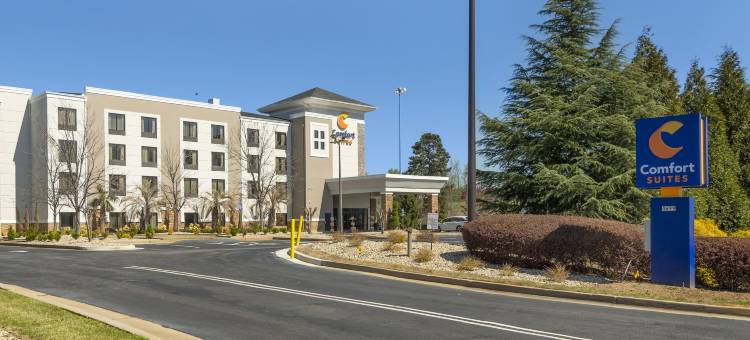 洛克斯特格罗夫亚特兰大南舒适全套房酒店(Comfort Suites Locust Grove Atlanta South)图片
