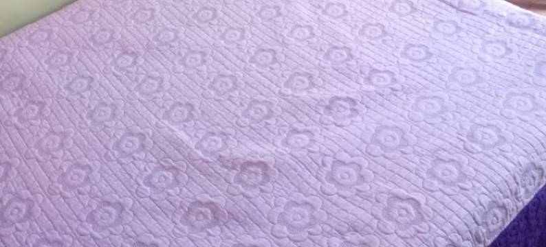 王安贾比旅馆(Wanjambi Lodge)图片