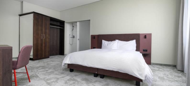 舍嫩韦德 b 智能酒店(B-Smart Hotel Schönenwerd)图片