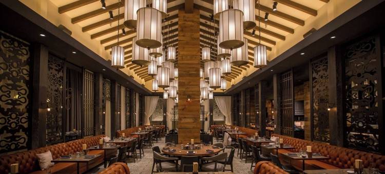 外交官希尔顿Signia沙滩度假村(Signia by Hilton Diplomat Beach Resort)图片