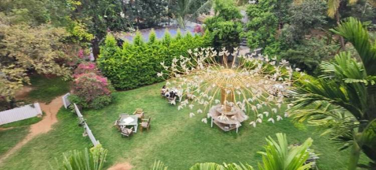 种子度假村(Seed Resort)图片