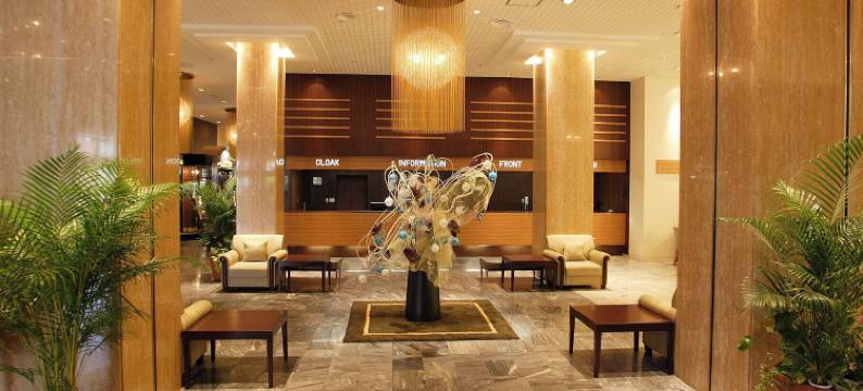 新盖亚酒店-大牟田花园(Hotel New Gaea Omuta Garden)图片