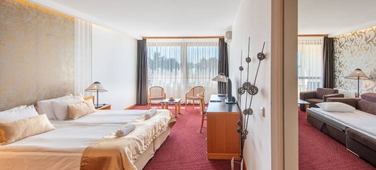 蒂豪尼俱乐部酒店(Hotel Club Tihany)图片