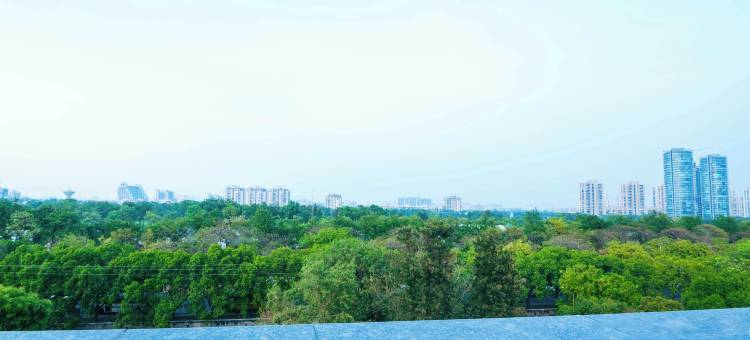 A1阳光盛宴酒店(Treebo Sunny Feast)图片