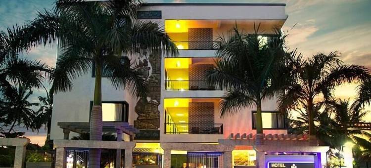 汉皮国际酒店(Hotel Hampi International)图片