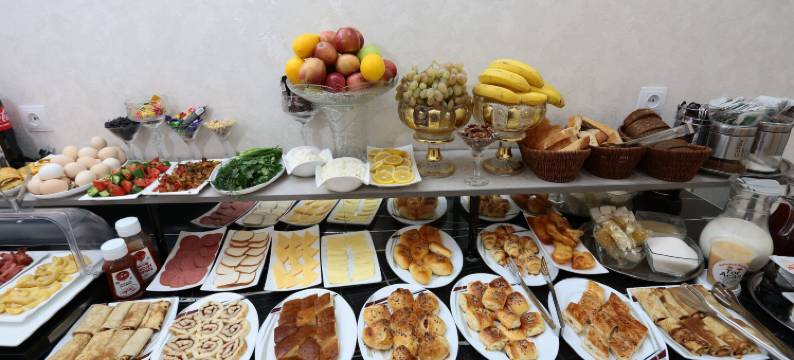 Saroy宫殿酒店(Saroy Palace Hotel)图片