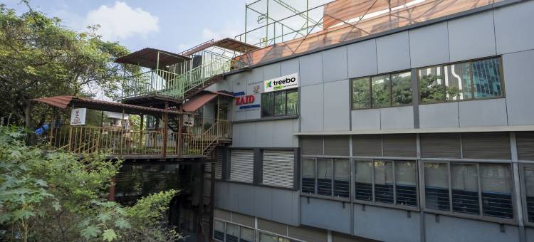 Treebo Zaid International 宝莱(Treebo Zaid International Powai)图片