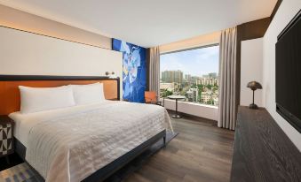 Le Meridien Ahmedabad Over view