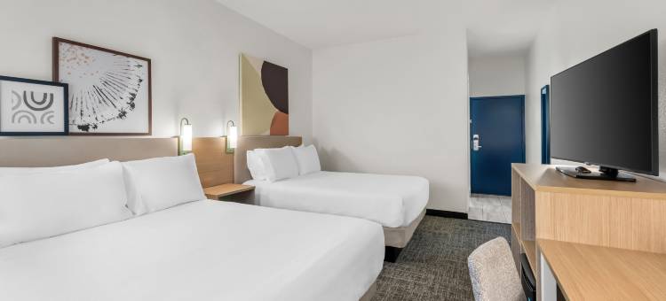 列克星敦东汉堡希尔顿Spark酒店(Spark by Hilton Lexington Hamburg)图片