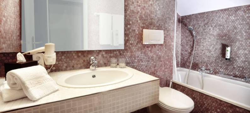 巴塞尔贝斯马特汽车旅馆(B-Smart Motel Basel)图片