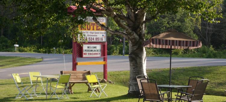 银桦树汽车旅馆(The Silver Birch Motel)图片