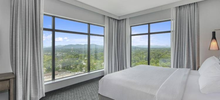 希尔顿使馆套房阿什维尔市中心(Embassy Suites by Hilton Asheville Downtown)图片