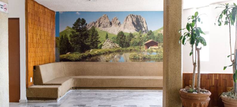 中央酒店伊拉普阿托(Hotel Central Irapuato - Hotel en Irapuato)图片