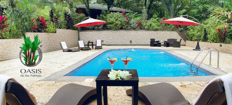 帕玛士绿洲酒店(Oasis de las Palmas)图片