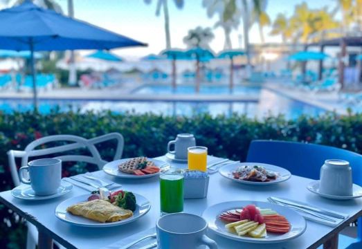 Fontan Ixtapa Hotel Overview