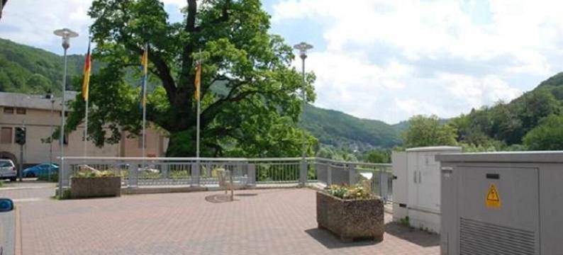 兰霍夫餐厅酒店(Hotel Restaurant Lahnhof)图片