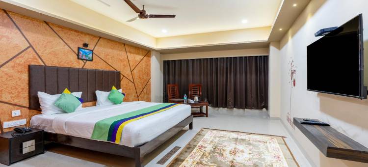 Treebo D Grand图片