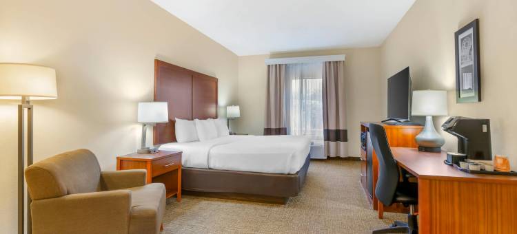 索科罗舒适套房酒店(Comfort Inn & Suites)图片