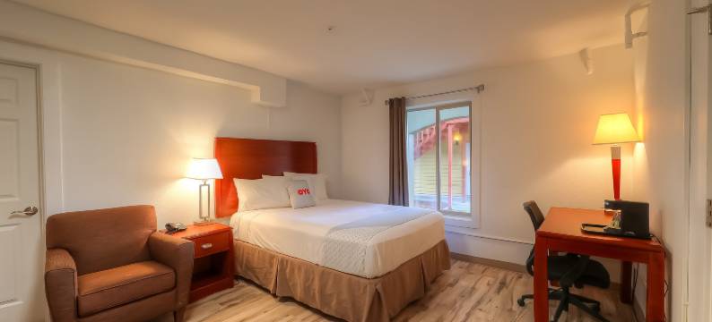 OYO纽波特旅馆-101号高速公路(Newport Inn by OYO - Hwy 101)图片