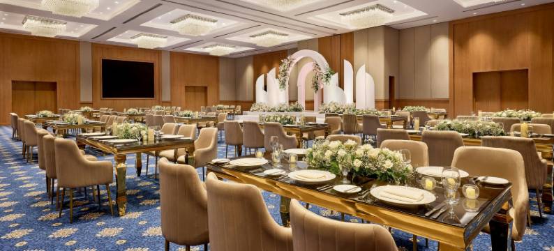 开罗机场艾美酒店(Le Meridien Cairo Airport)图片