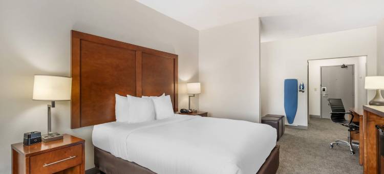 奥马哈舒适套房酒店(Comfort Suites Omaha Northwest)图片