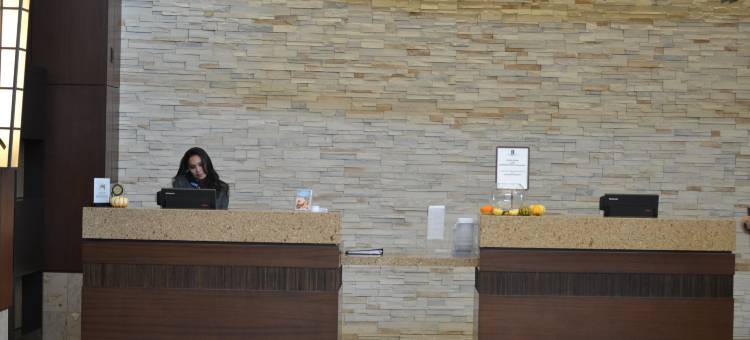 帕姆代尔希尔顿安泊套房酒店(Embassy Suites by Hilton Palmdale)图片