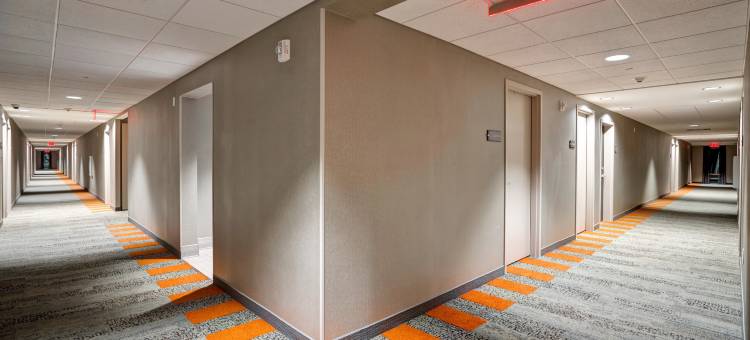 富兰克林纳什维尔酷斯普林斯Homewood Suites by Hilton(Homewood Suites by Hilton Nashville Franklin Cool Springs)图片