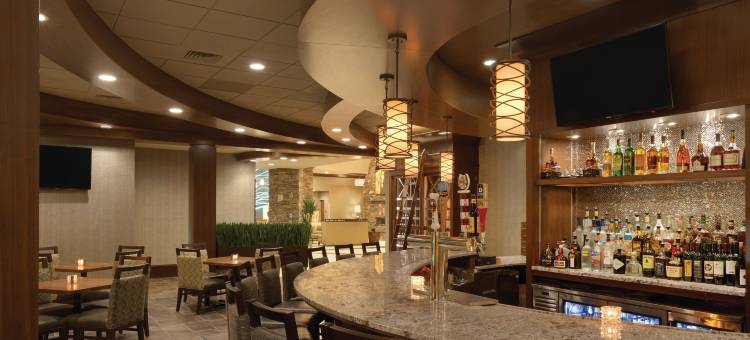 萨拉托加泉安泊套房酒店(Embassy Suites by Hilton Saratoga Springs)图片