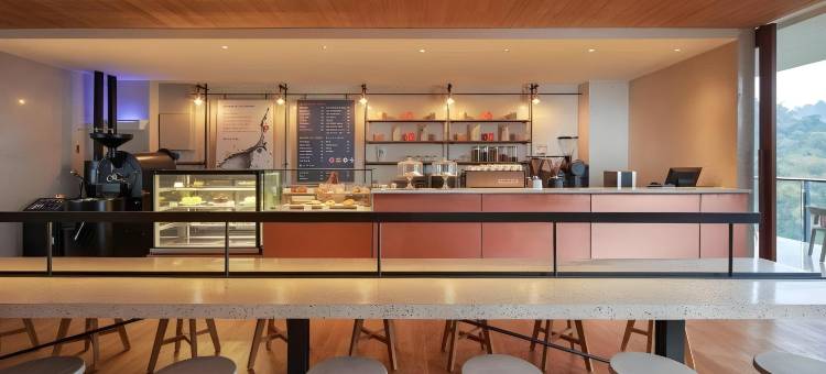 万隆盖亚酒店(The Gaia Hotel Bandung)图片