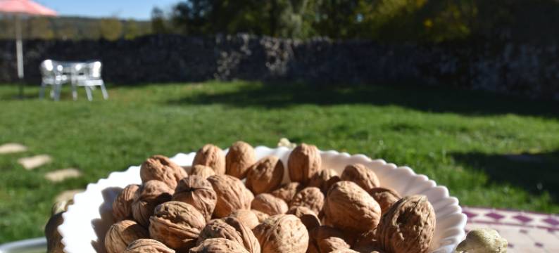 Holiday Home in Gramat with Private Pool图片