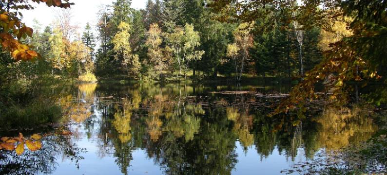 Chalet in La Bresse near Ski Slopes图片